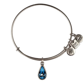 Living Water Charm Bracelet | Alex and Ani