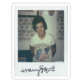Harry Styles Polaroid by brebre16