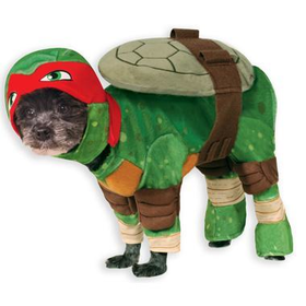 Teenage Mutant Ninja Turtles Raphael Pet Costume ? Spirit Halloween