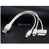 20 cm 1 to 3 Charge Cord for Apple Products